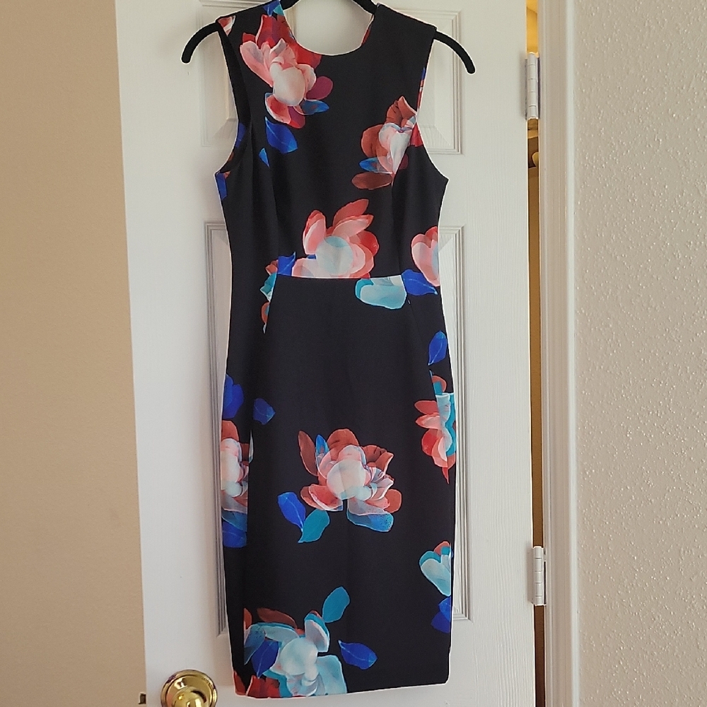 Calvin Klain Floral Sleeveless Black Dress